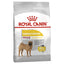 Royal Canin Dog Medium Dermacomfort 12kg