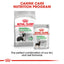 Royal Canin Digestive Care Medium 12kg