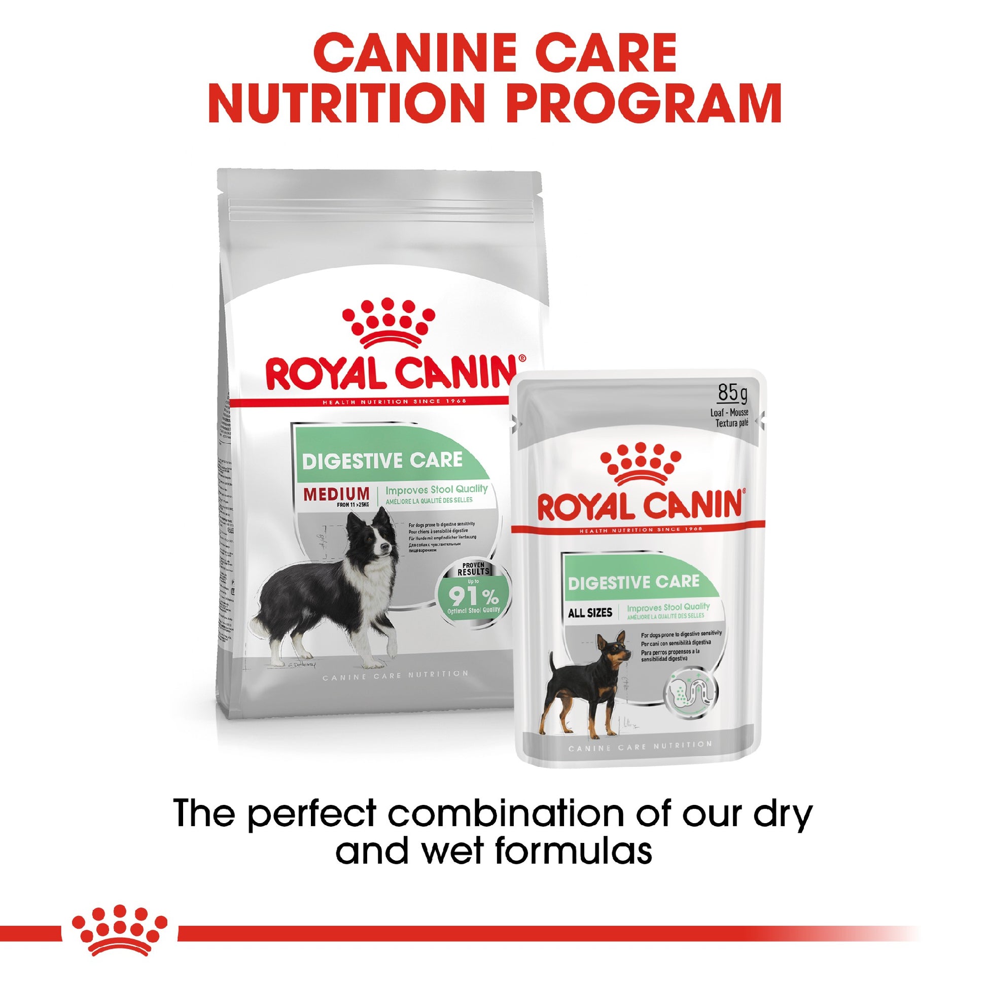 Royal Canin Digestive Care Medium 12kg
