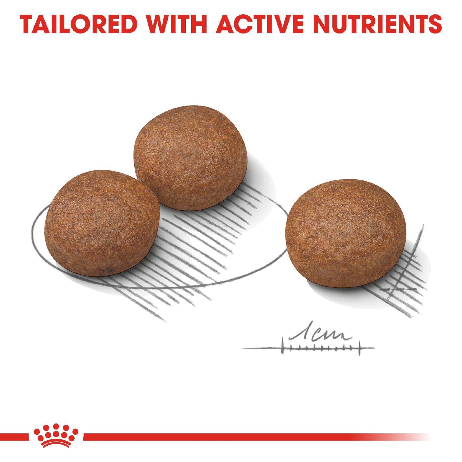 Royal Canin Digestive Care Medium 12kg