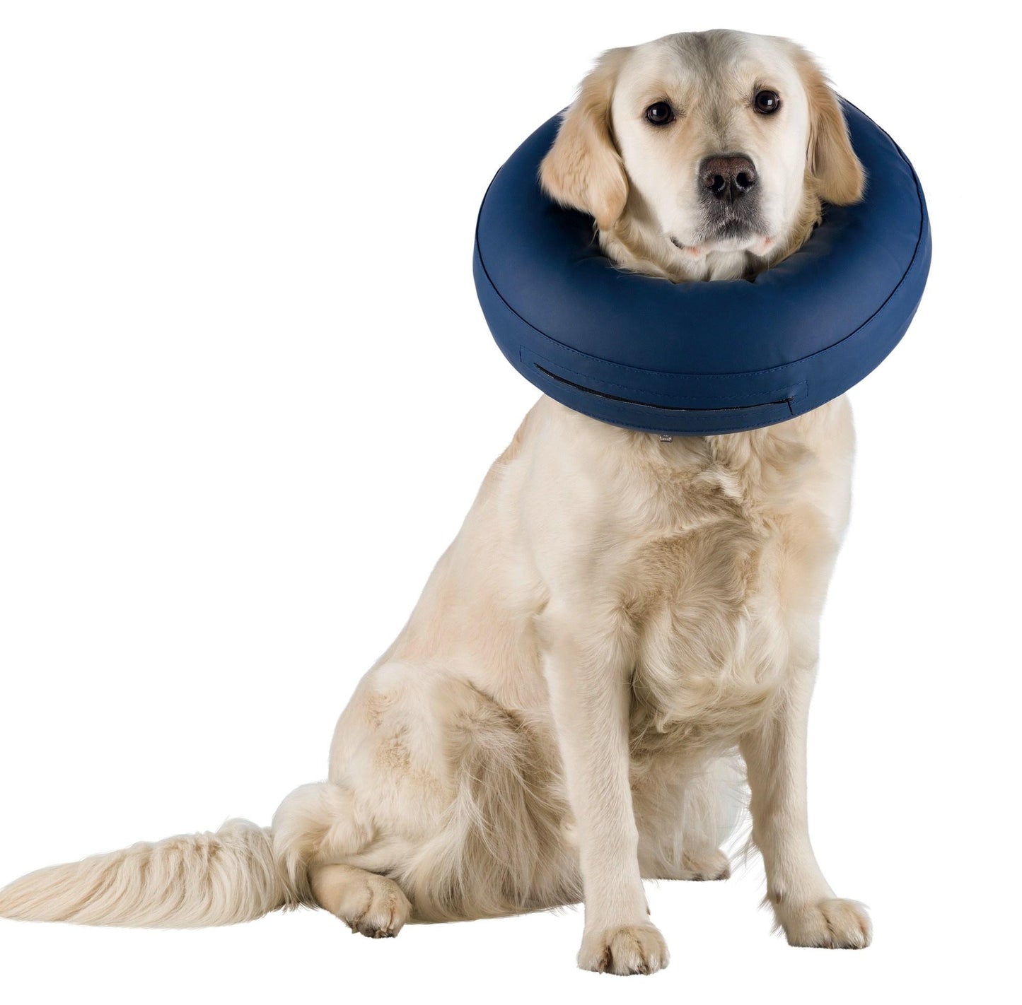 Trixie Inflatable Collar 20–24cm/8cm Blue [Sz:Xs]