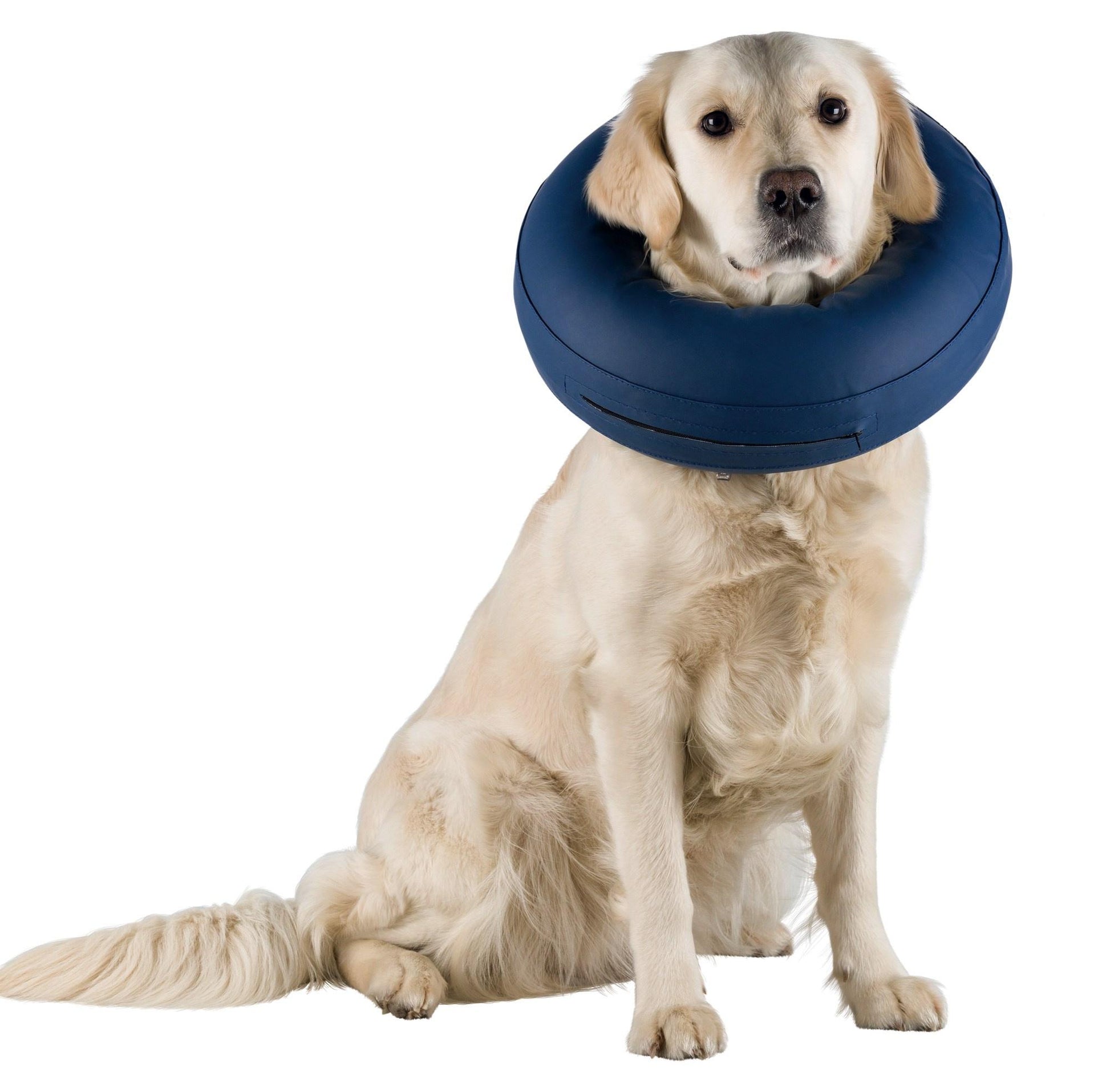 Trixie Inflatable Collar 20–24cm/8cm Blue [Sz:Xs]