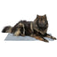 Trixie Cooling Mat - Medium (40cm x 50cm)