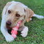 Tough Wiggle Worm