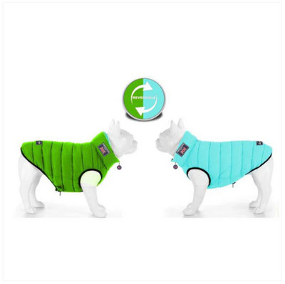 Hampton Hound Aqua & Lime Reversible Dog Puffer Jacket [Sz:XS 25cm]