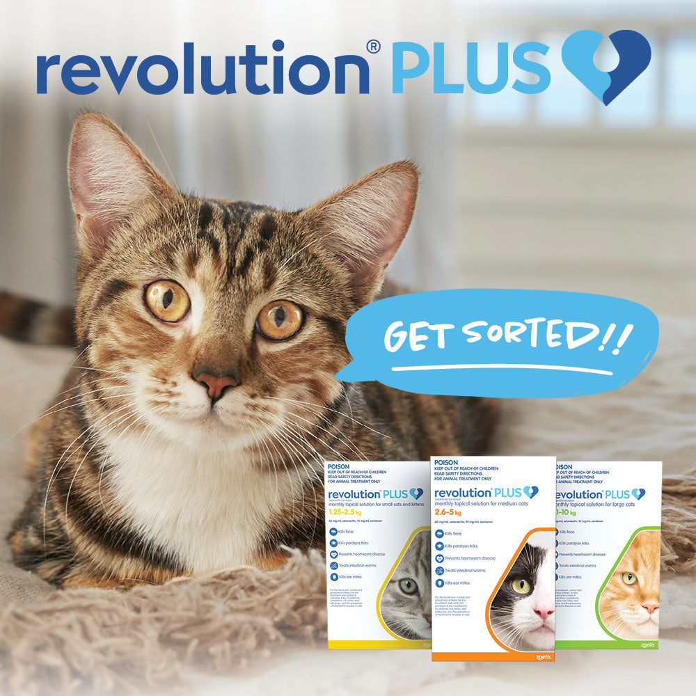 Revolution PLUS Large 5.1-10kg 3s