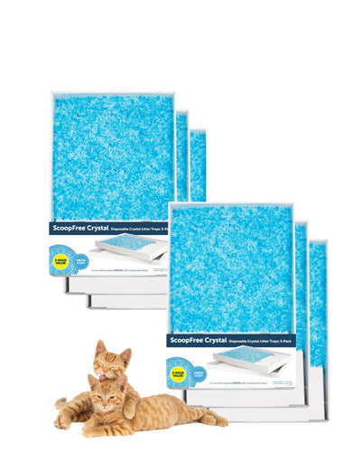 ScoopFree Litter Tray Replacement Tray Bulk 6 pack