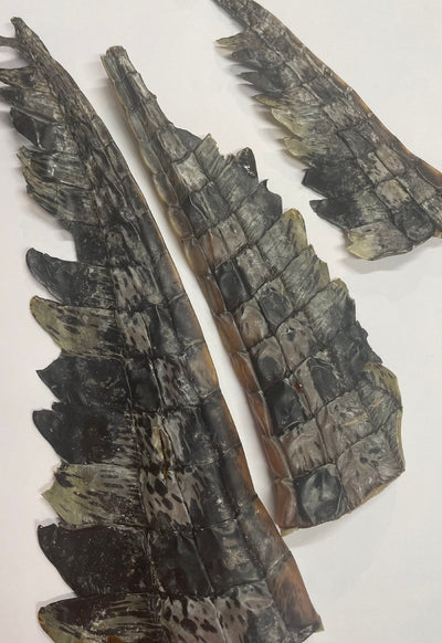 The Pawfect Butcher Crocodile Tail - 100g 