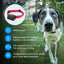 Petsafe Stubborn Dog In-ground Fence System PRF-3004XW-20