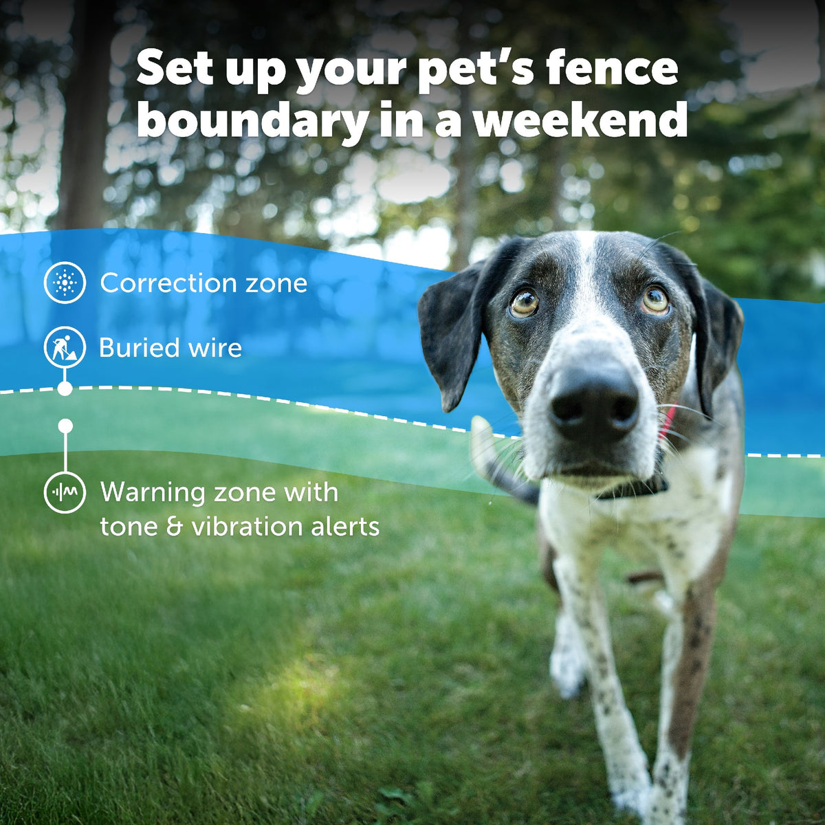 Petsafe Stubborn Dog In-ground Fence System PRF-3004XW-20
