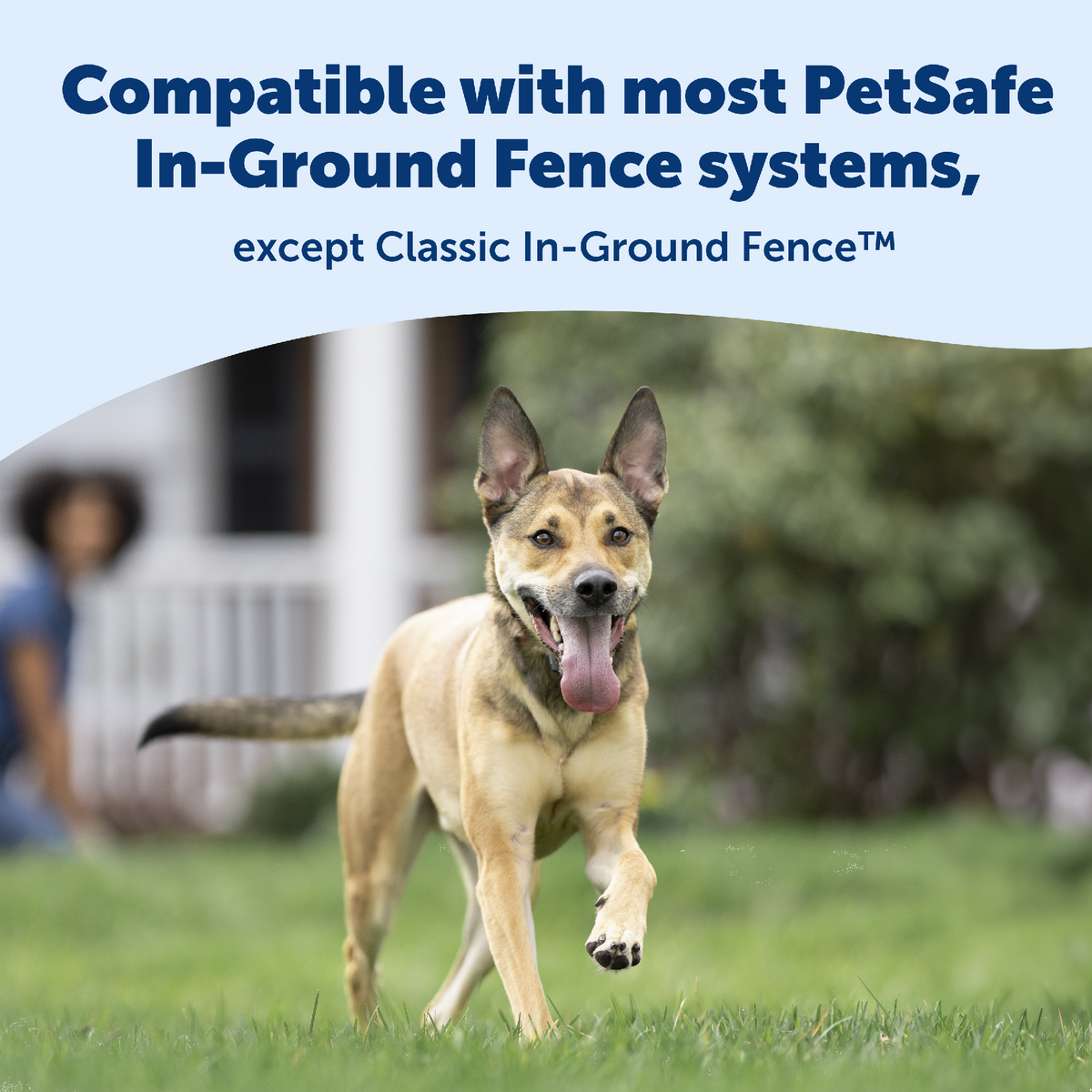 Petsafe Inground Fence system additional collar 