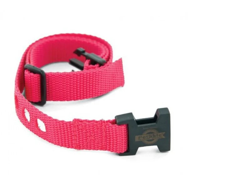 Petsafe Collar to suit Containment system