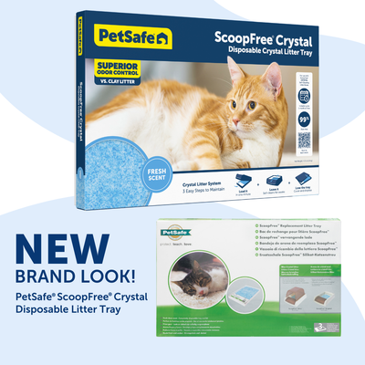 ScoopFree Replacement Litter Tray single