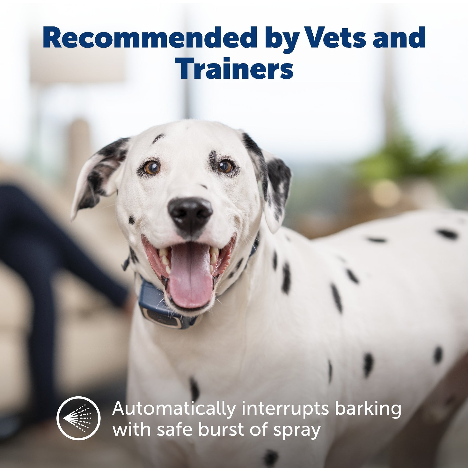 Petsafe Bark Control Spray Collar