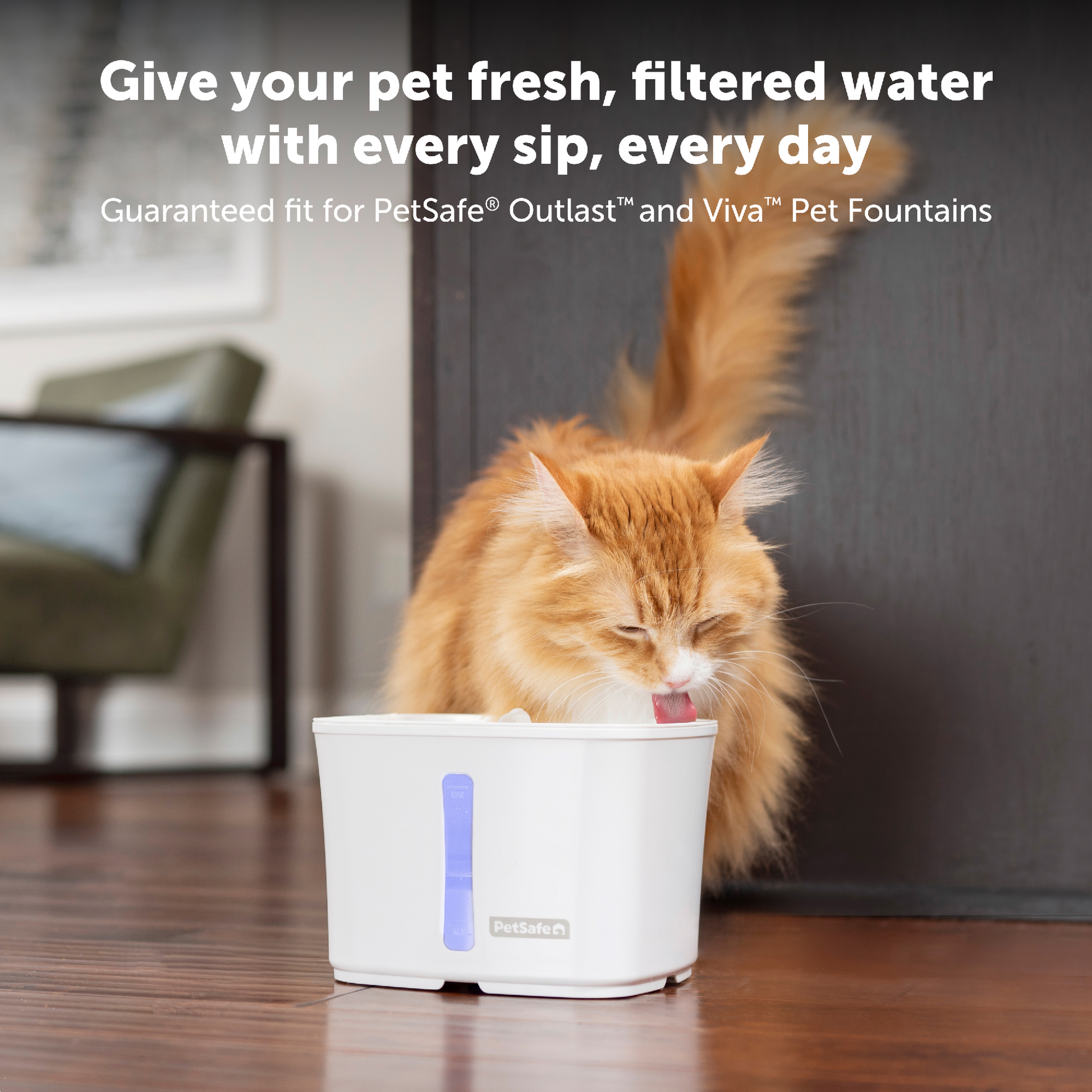 Petsafe Square Carbon Resin Ftn Filter 4Pk