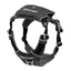 Stash and Dash Harness Large
