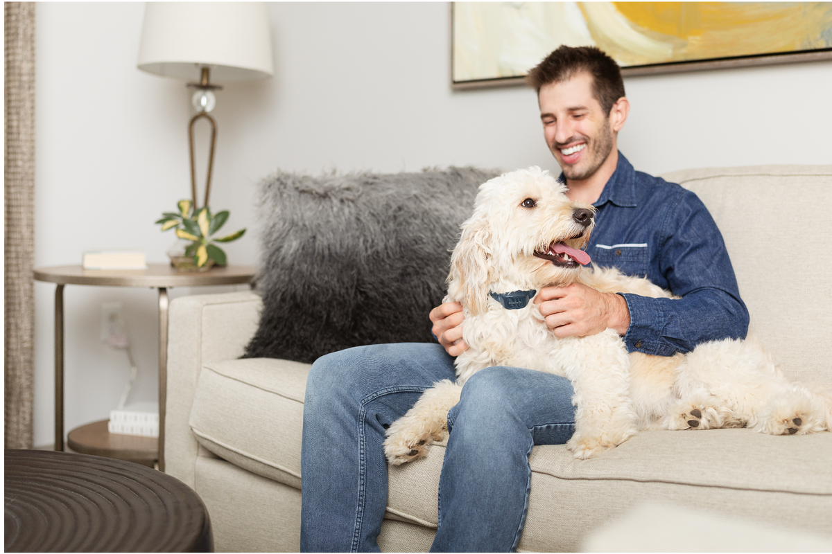 Petsafe Audible Anti Barking Collar