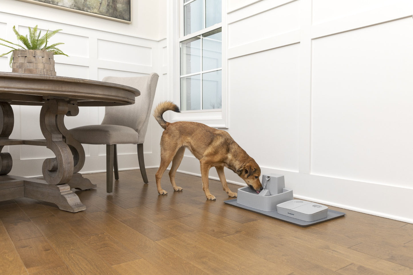 Petsafe Fountain and Feeder Mat (Brown Box)