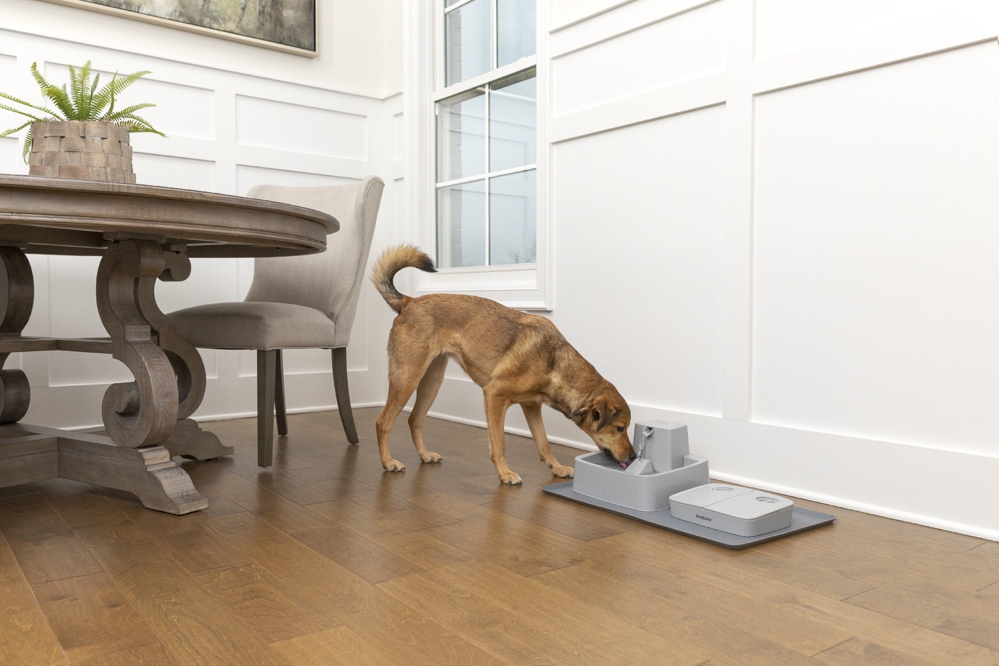 Petsafe Fountain and Feeder Mat (Brown Box)