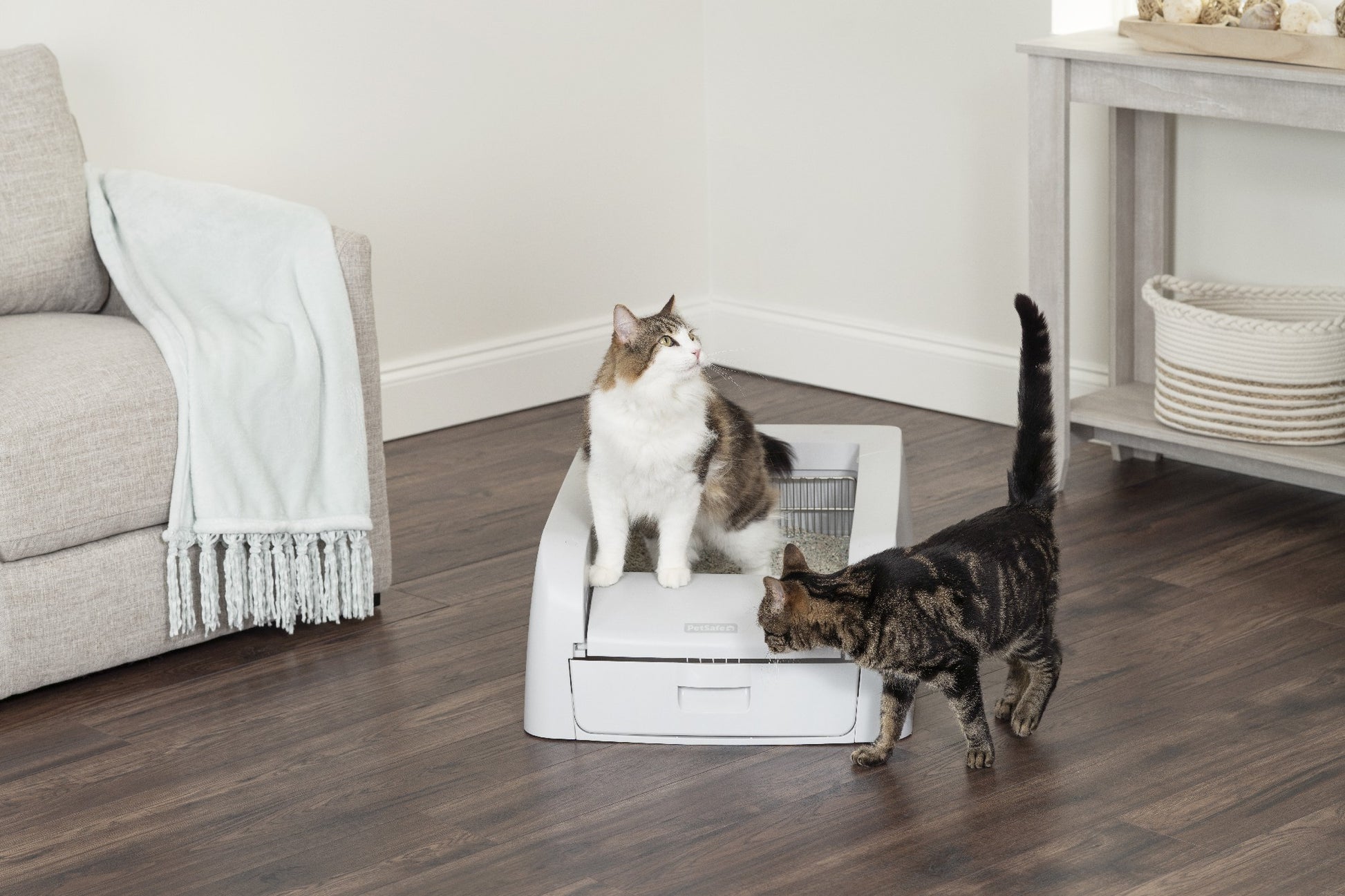 Scoopfree Clumping Litter Box