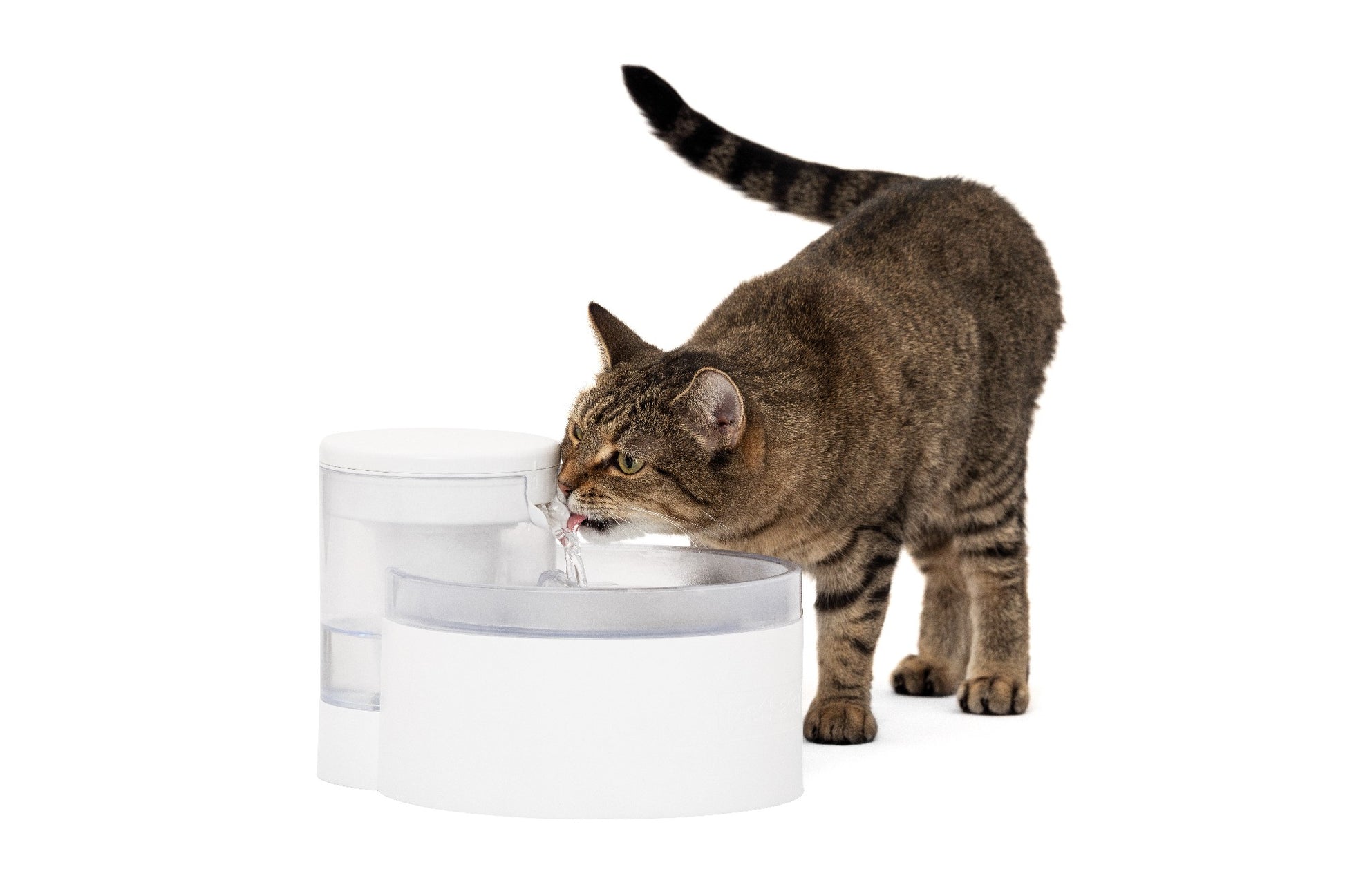 Petsafe Outlast Pet Fountain 1.7L Intl