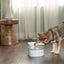 Petsafe Outlast Pet Fountain 1.7L Intl