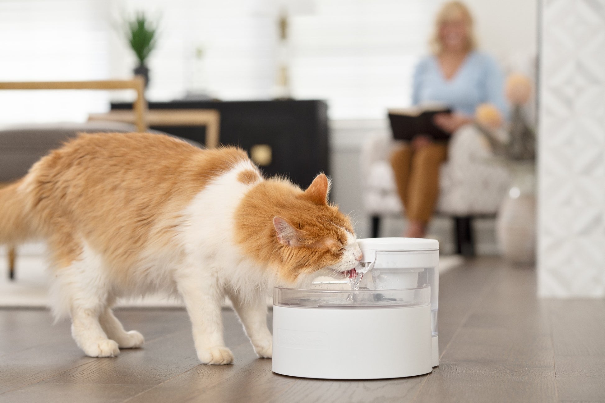 Petsafe Outlast Pet Fountain 1.7L Intl