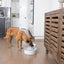 Petsafe Outlast Pet Fountain 3.7L Intl