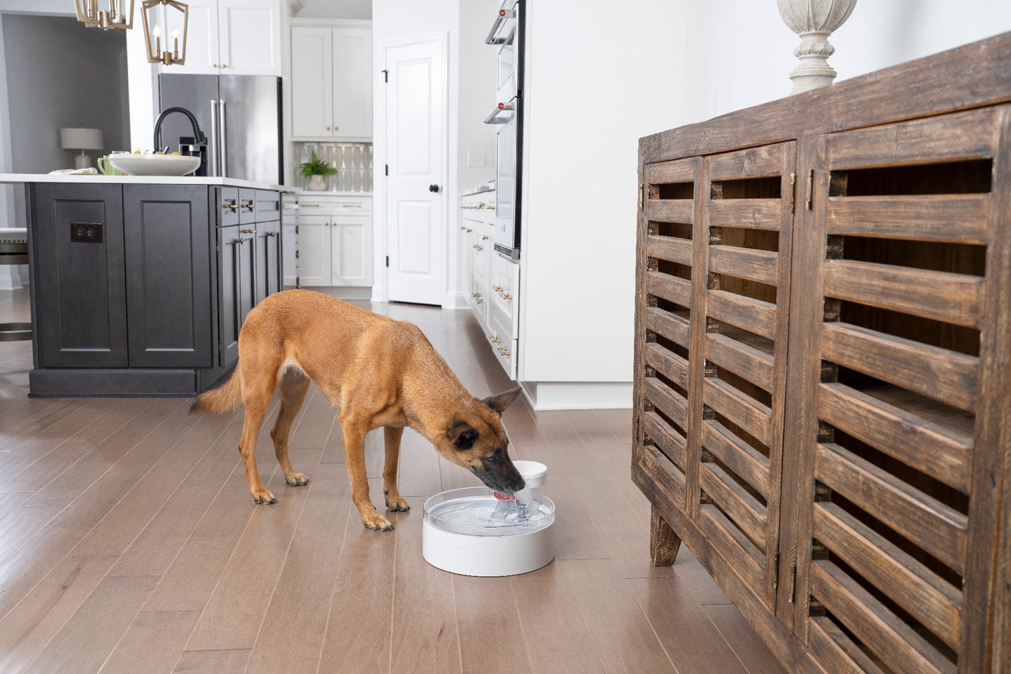 Petsafe Outlast Pet Fountain 3.7L Intl