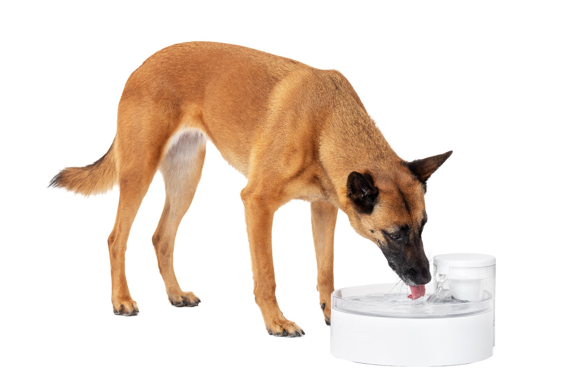 Petsafe Outlast Pet Fountain 3.7L Intl