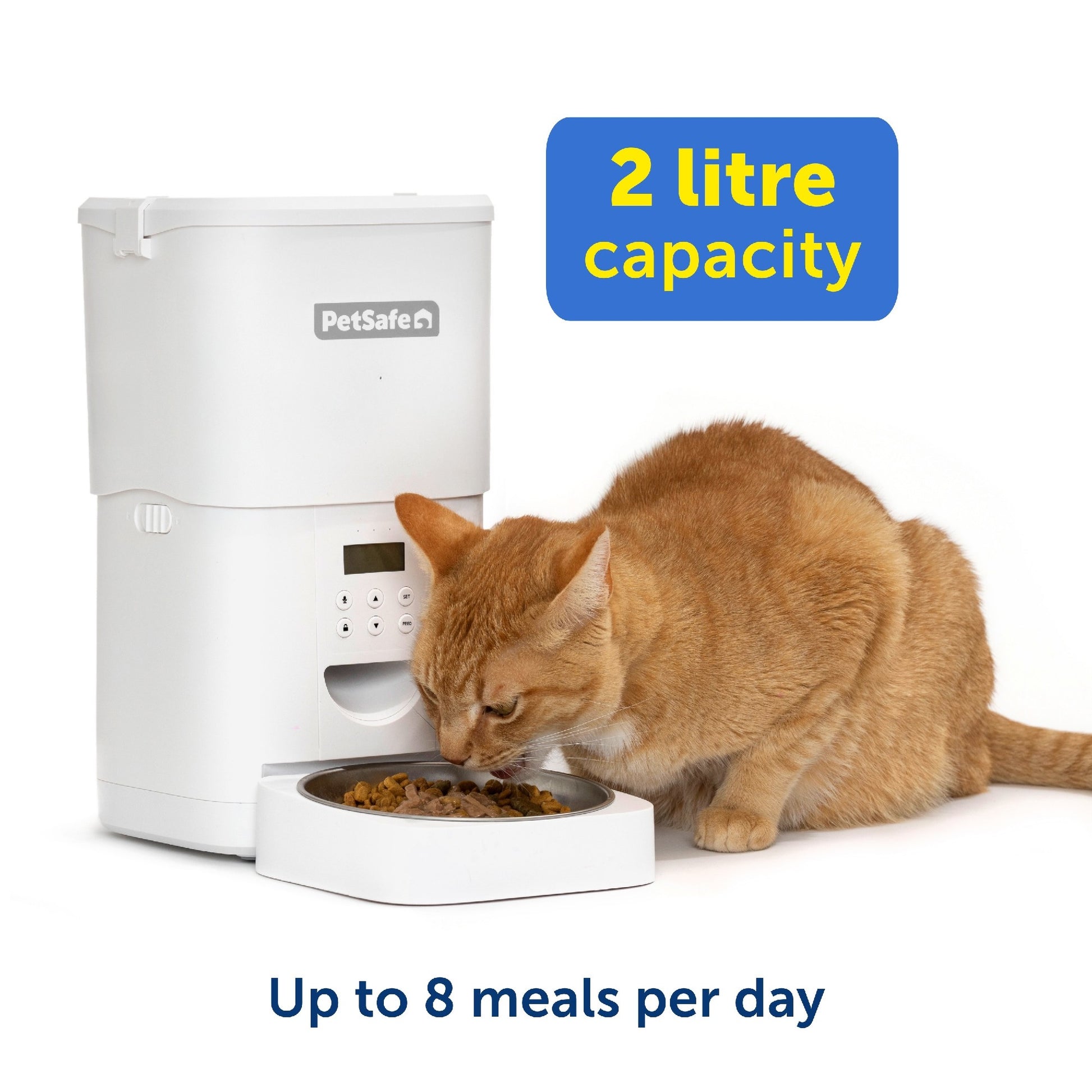 PetSafe  FlexFeed Automatic Pet Feeder