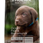 Phoenix Puppy Large Breed Ocean Fish & Barramundi Grain Free Dog Food [Sz:13kg]