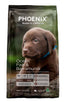 Phoenix Puppy Large Breed Ocean Fish & Barramundi Grain Free Dog Food [Sz:13kg]