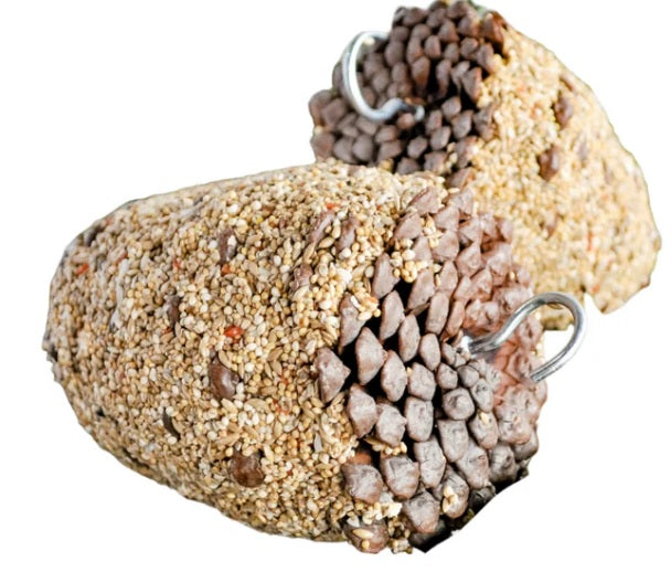 Forage Medium Bird Pinecone Treat MEDIUM