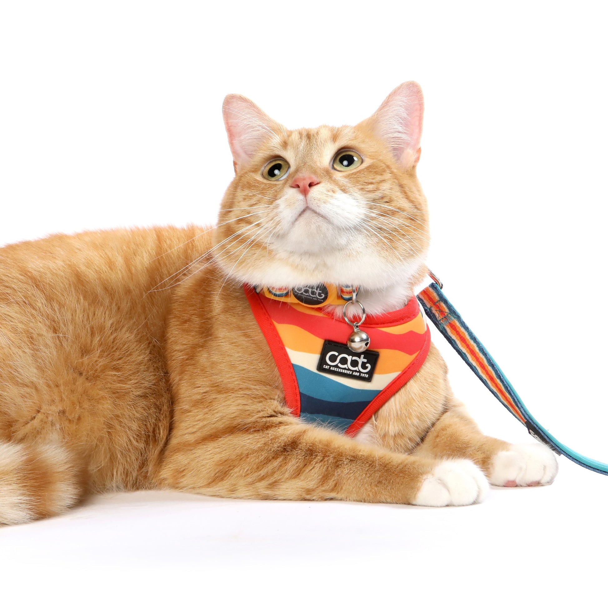 Caat Cat Harness & Leash Combo SCOUT - Cat