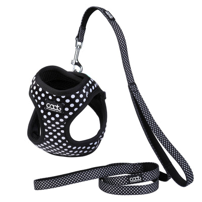 Caat Cat Harness & Leash Combo PONGO - Cat