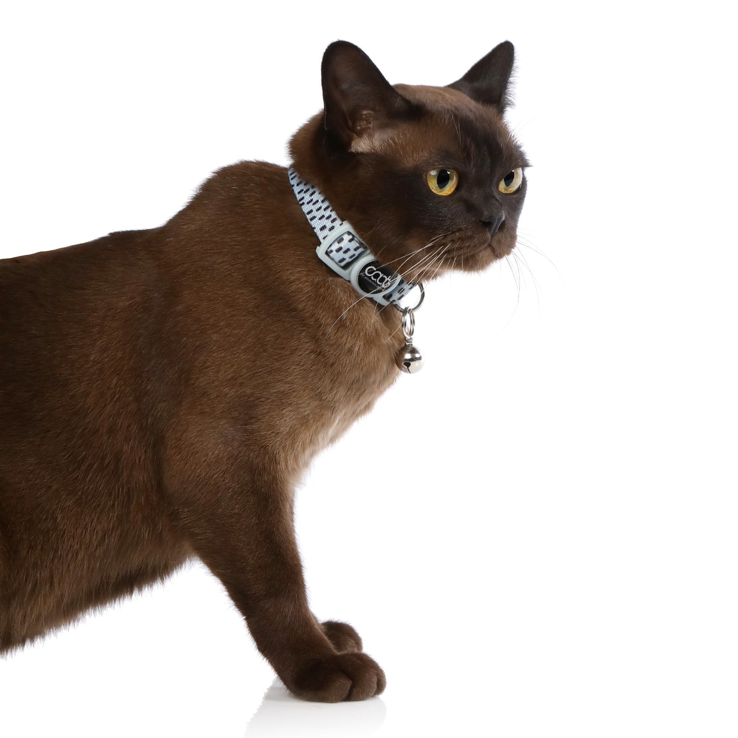 Caat Quick-Release Cat Collar DASH - Cat