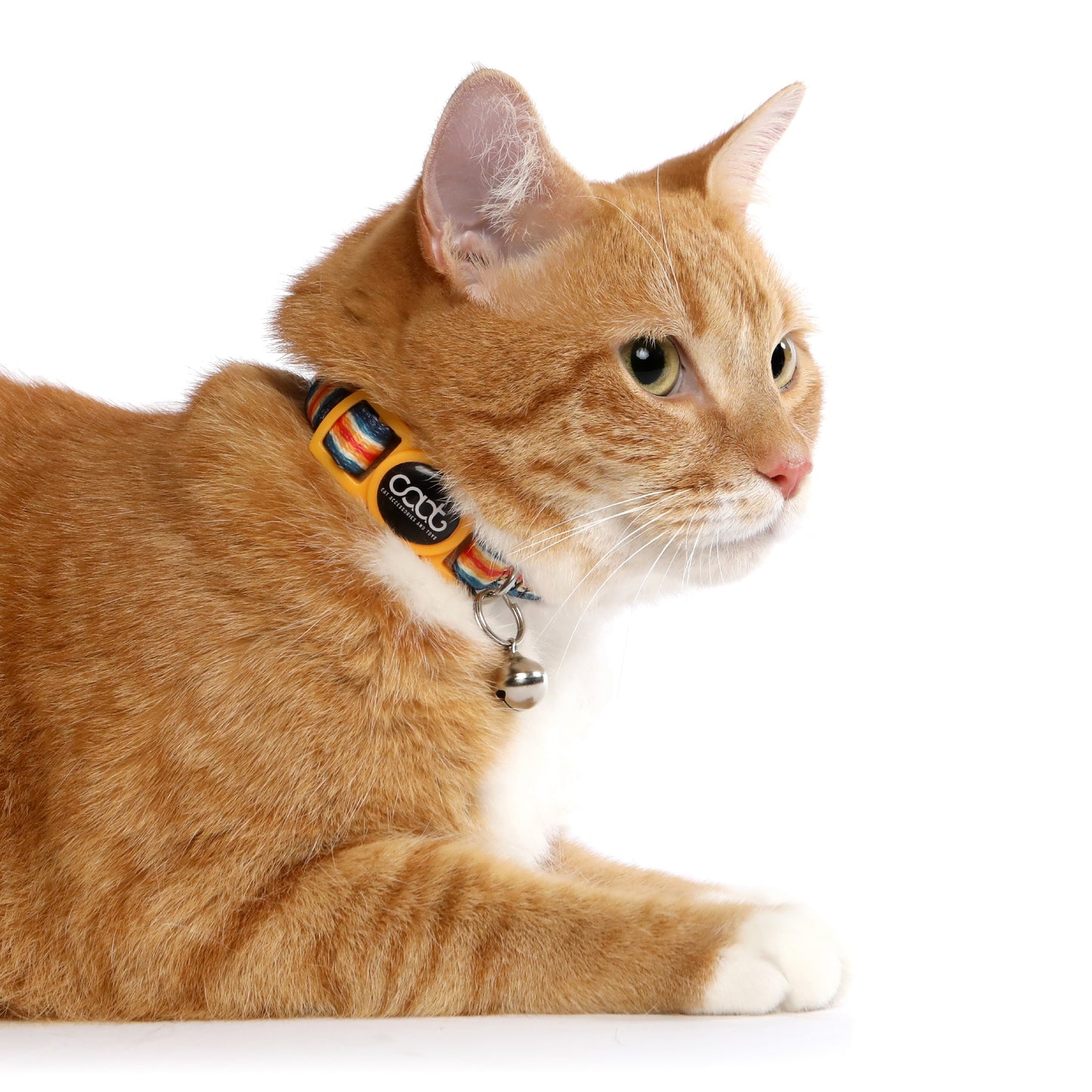 Caat Quick-Release Cat Collar SCOUT - Cat