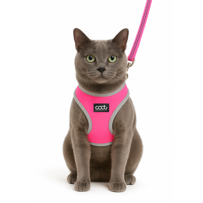 Caat Cat Harness & Leash Combo LADY - Cat
