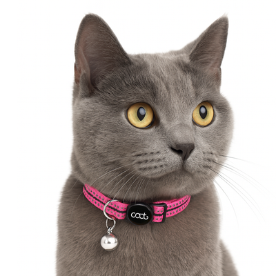 Caat Quick-Release Cat Collar LADY - Cat