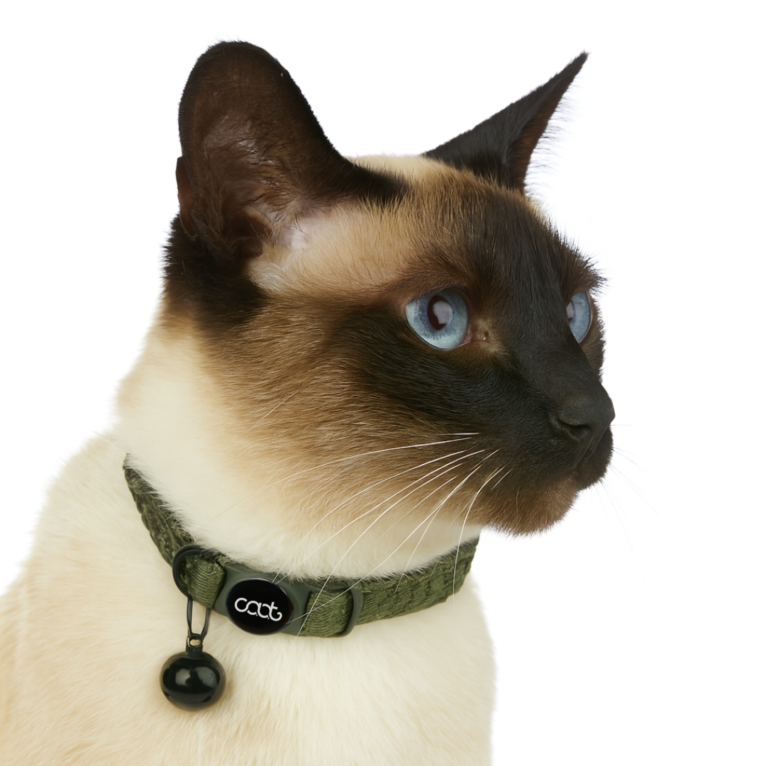 Caat Quick-Release Cat Collar NEOSPORT GREEN - Cat