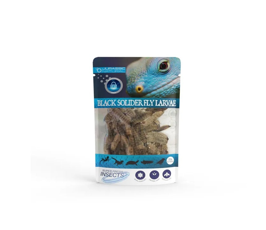 Pisces Black Soldier Fly Larvae - 20g