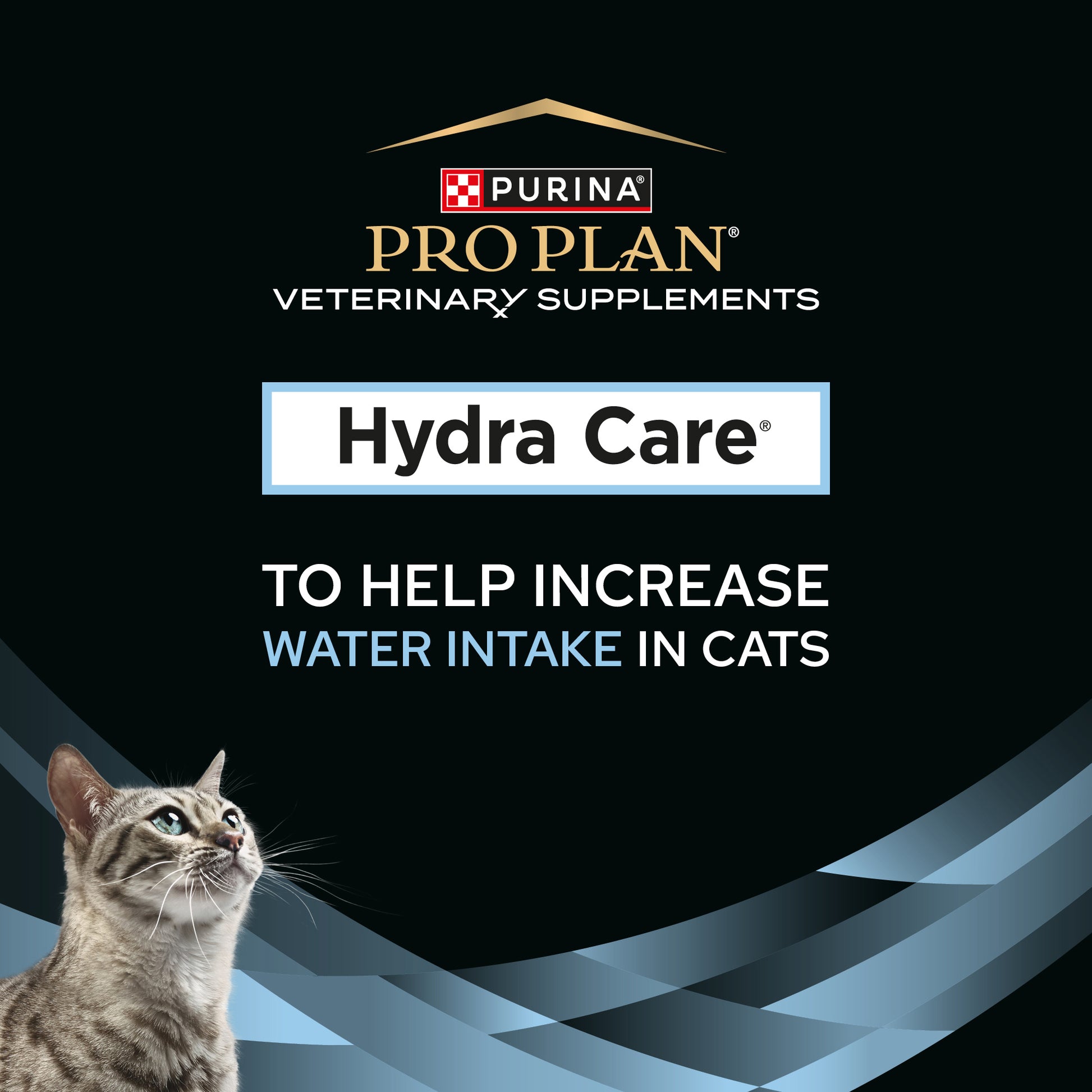 Proplan Cat Hydra 75G 12'S