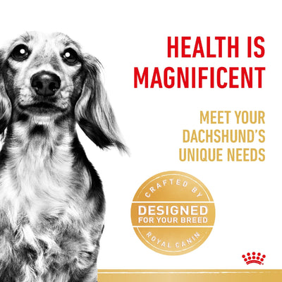 Royal Canin Dog Dachshund 85g Pouch