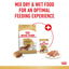Royal Canin Dog Dachshund 85g Pouch