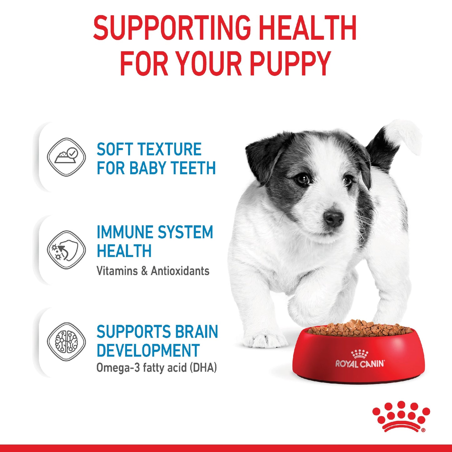 Royal Canin Dog Mini Puppy 85g Pouch
