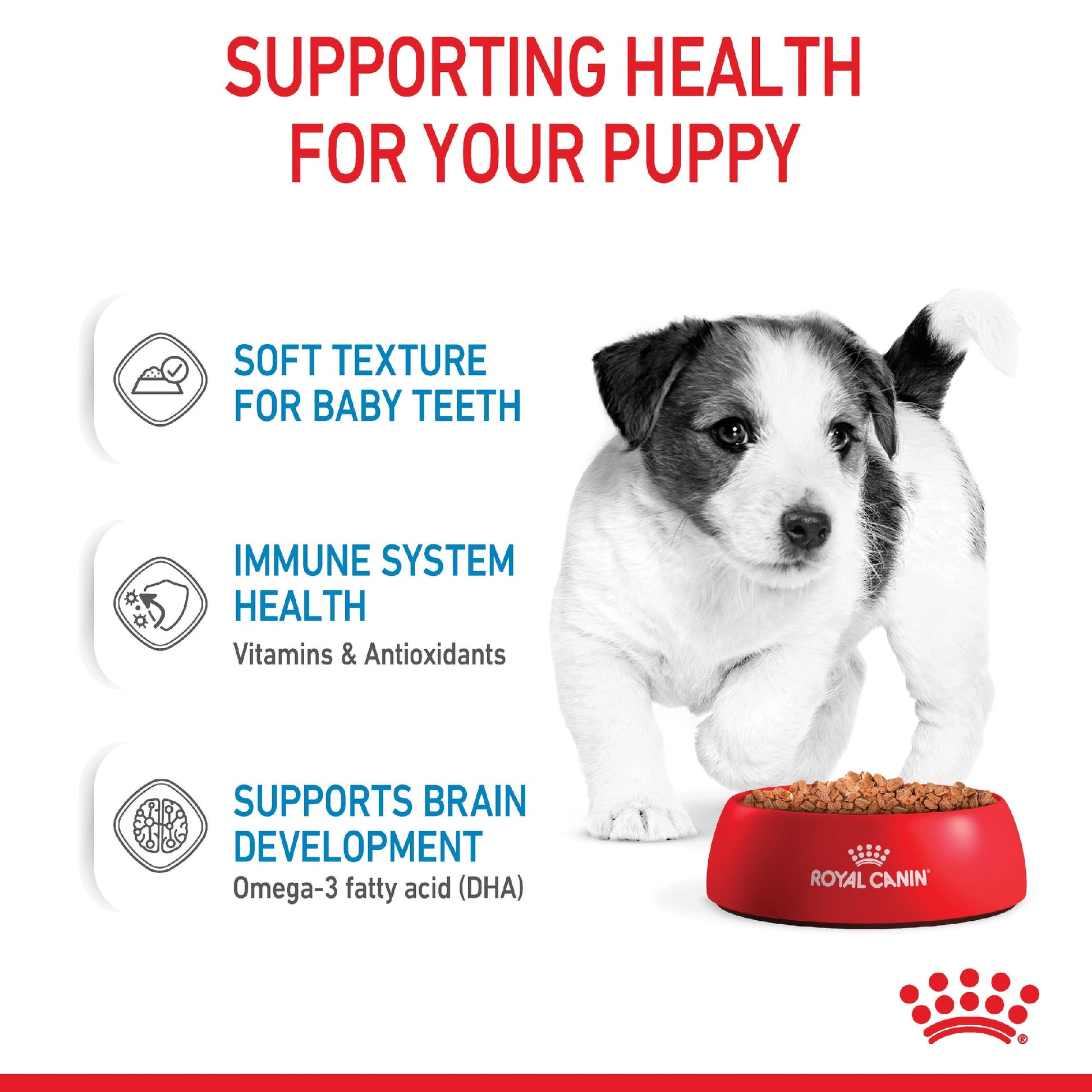 Royal Canin Dog Mini Puppy 85g Pouch