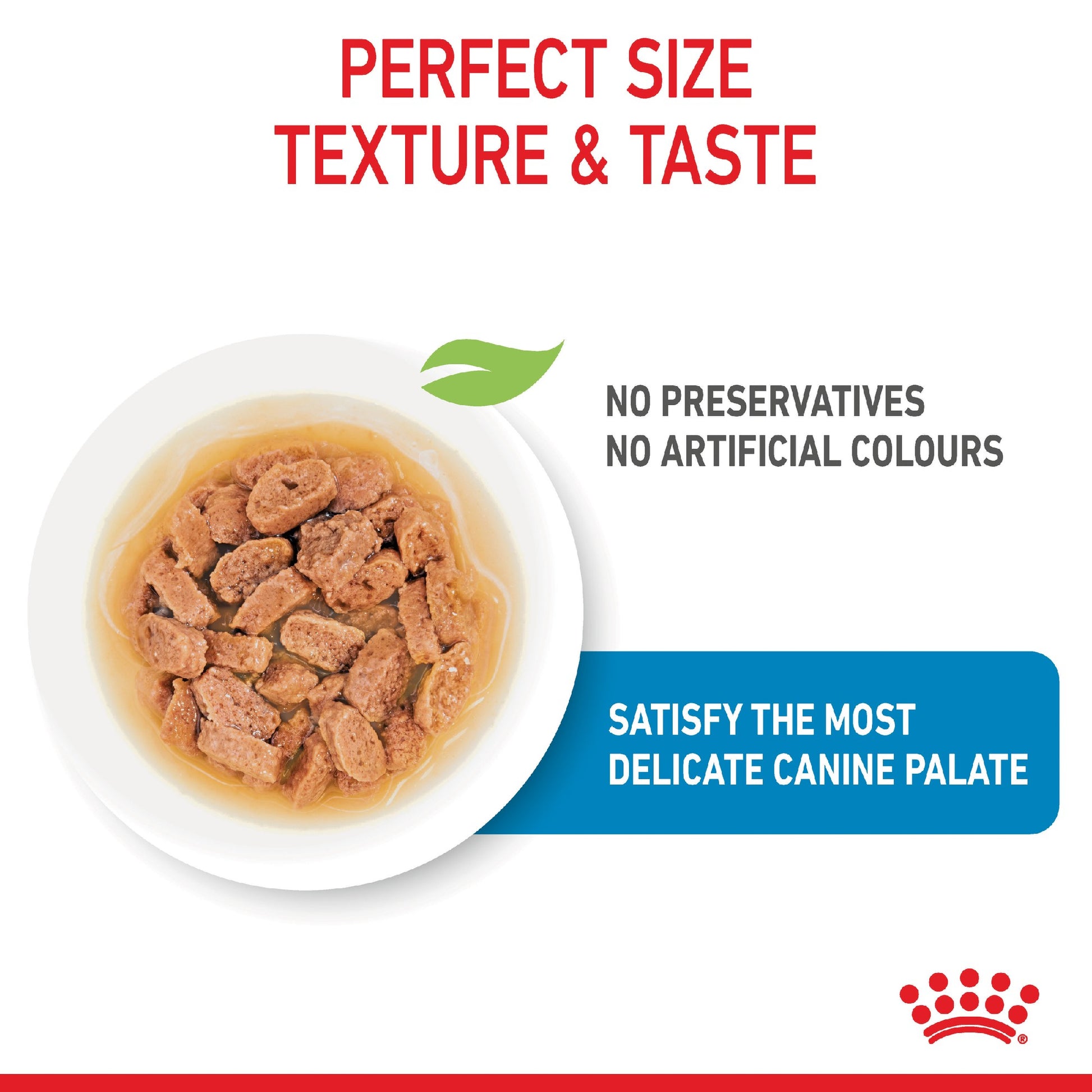 Royal Canin Dog Mini Puppy 85g Pouch