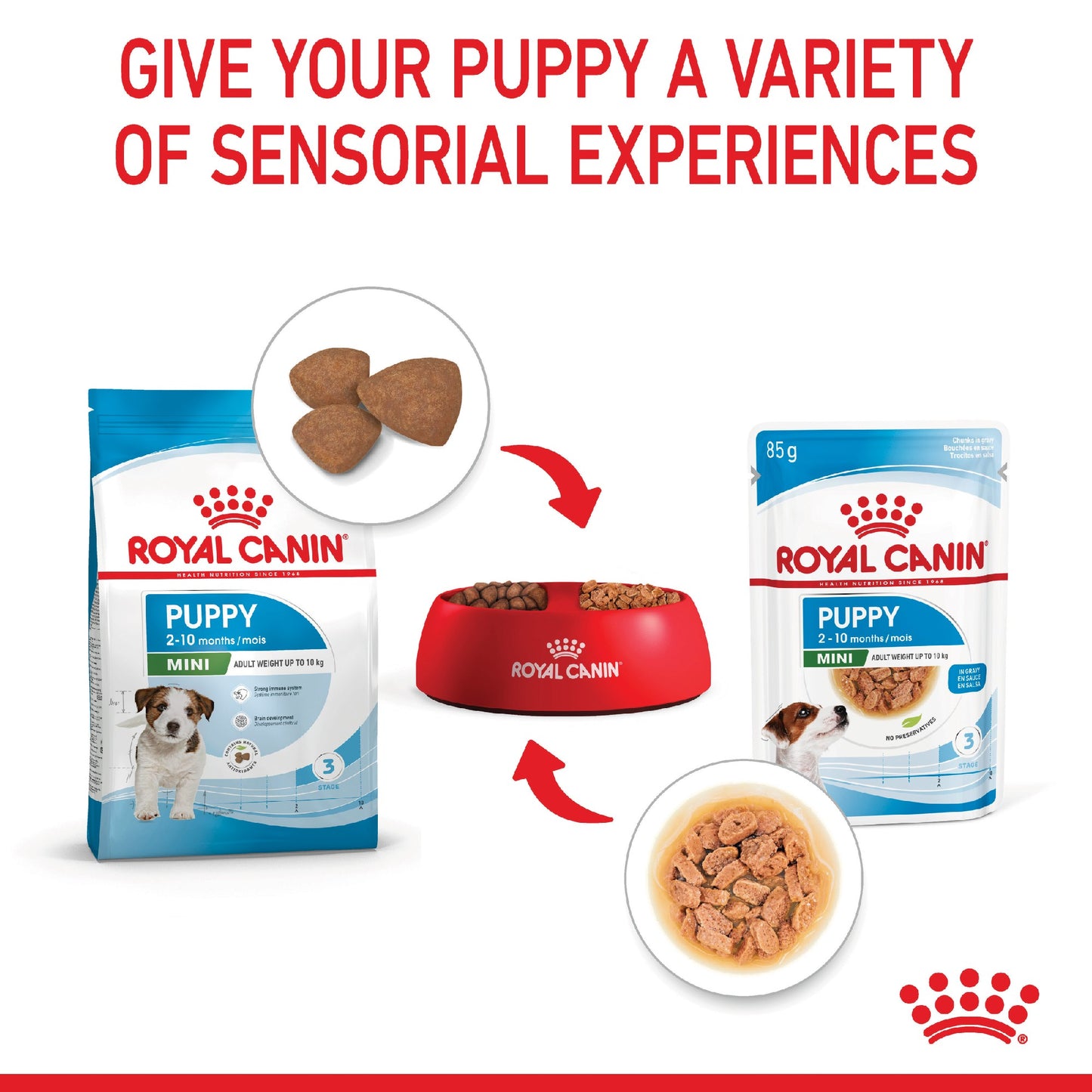 Royal Canin Dog Mini Puppy 85g Pouch