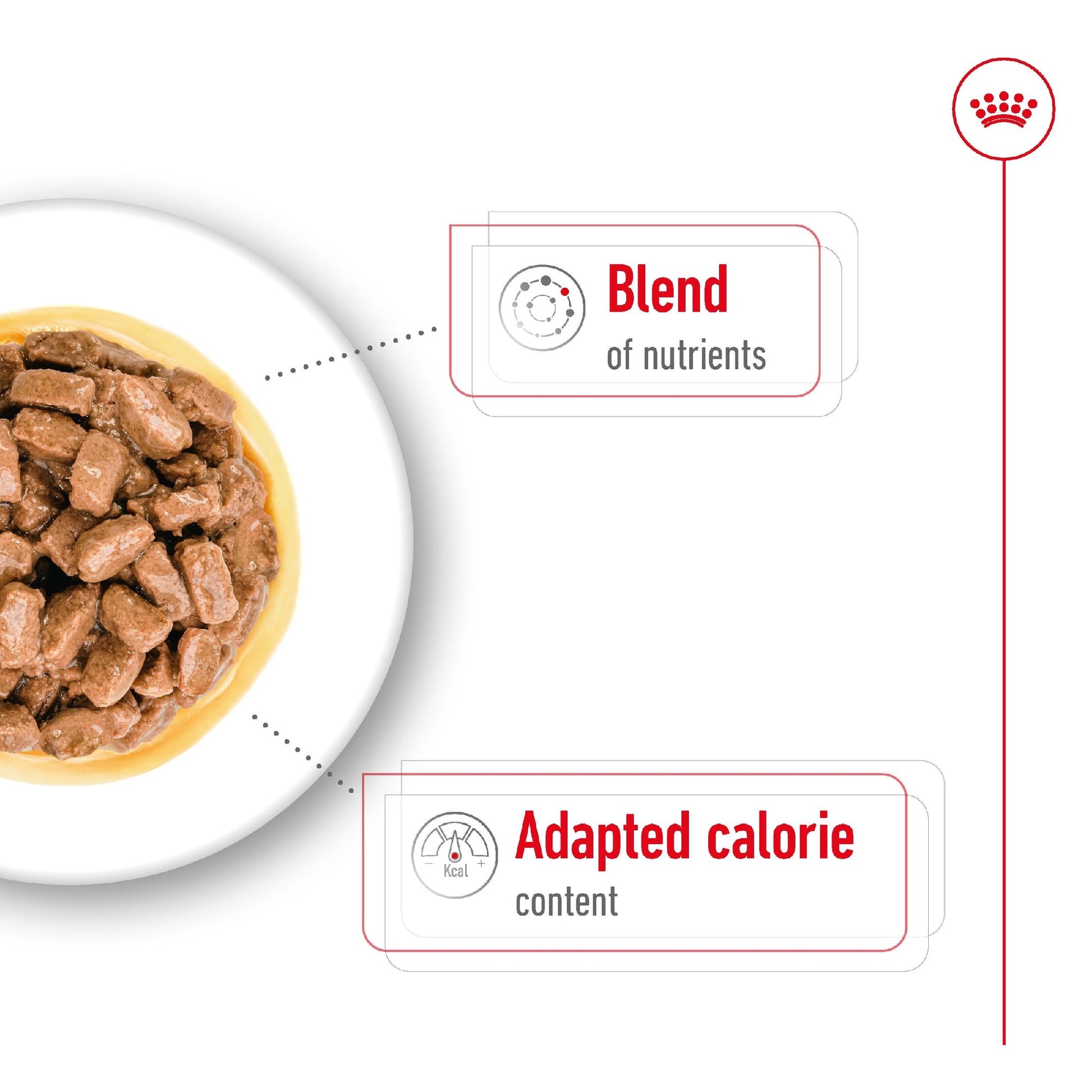 Royal Canin Dog Mini Ageing 12+ 85g Pouch